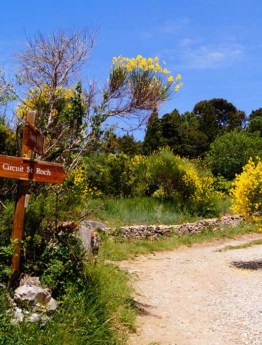 Circuit Saint Roch, een van de vele wandelingen om te ontdekken rond de camping Montolieu in de Aude.