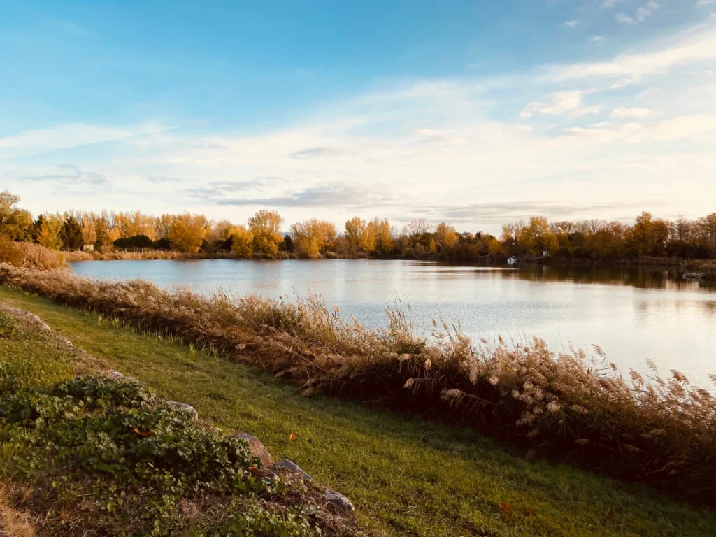 AdobeStock 560046651 1
