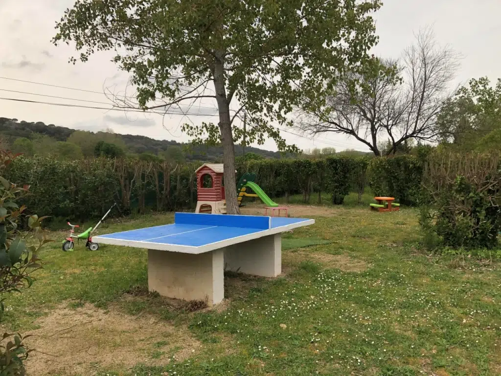 ping pong