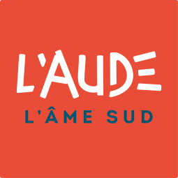 logo ame sud