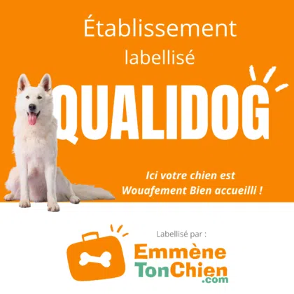 Visuel label QUALIDOG pour communication web 1