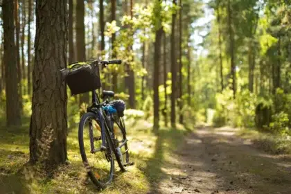 Camping Canal du Midi 15 VTT en location au camping de Montolieu pour rejoindre le Canal du Midi