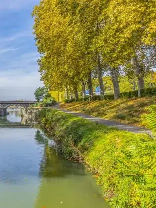 Camping Canal du Midi 5 Pont et allée de platanes le long du Canal du Midi, près de Carcassonne